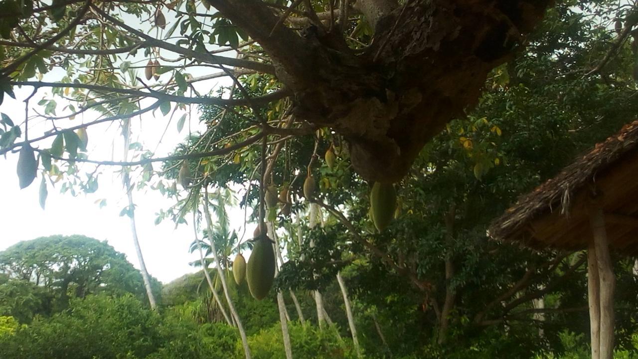 Bahari Pori Resort Pangani 外观 照片