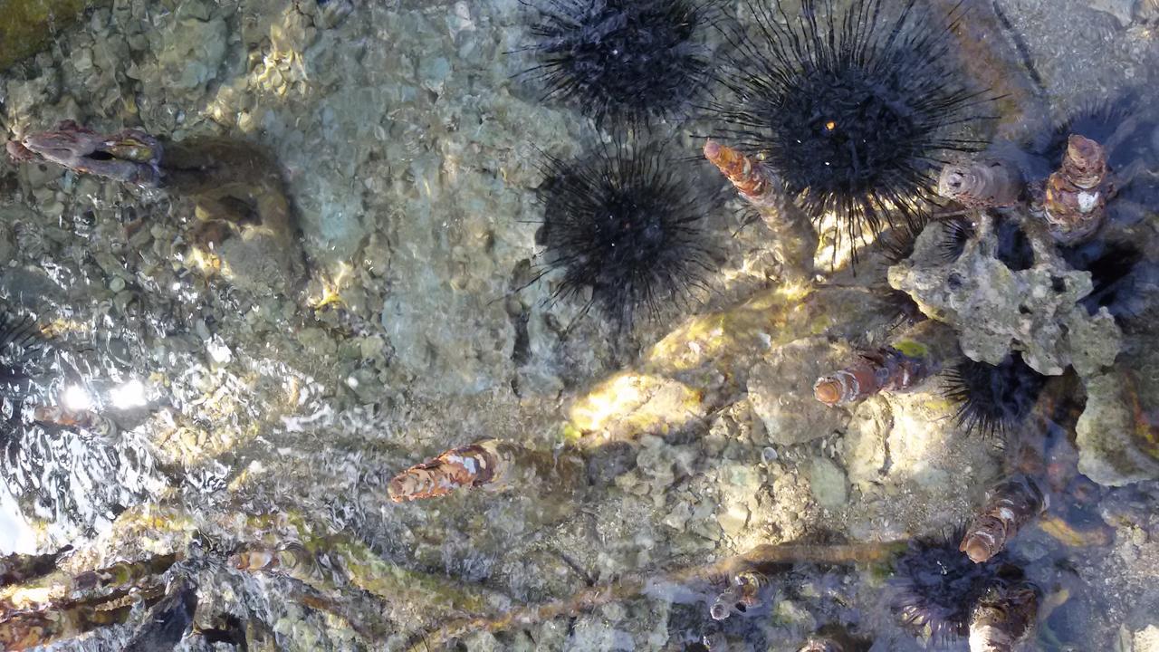 Bahari Pori Resort Pangani 外观 照片